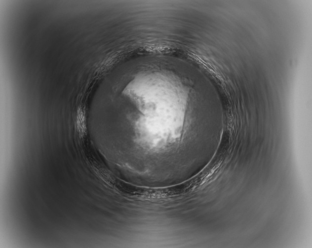 X0000096221106200801181445