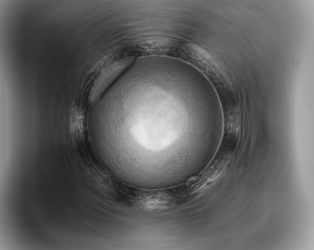 X0000096221108200801181445