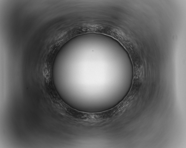 X0000096221109200801181445