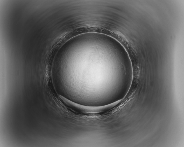 X0000096221110200801181445
