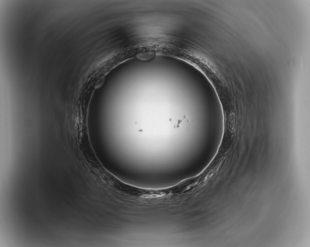 X0000096221111200801181445