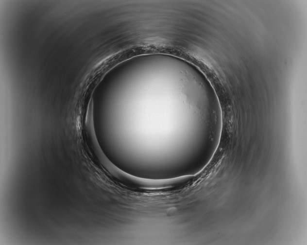 X0000096221112200801181445