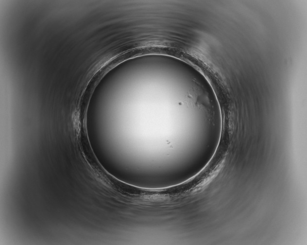 X0000096221113200801181445