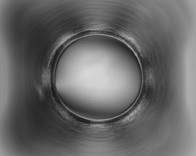 X0000096221114200801181445