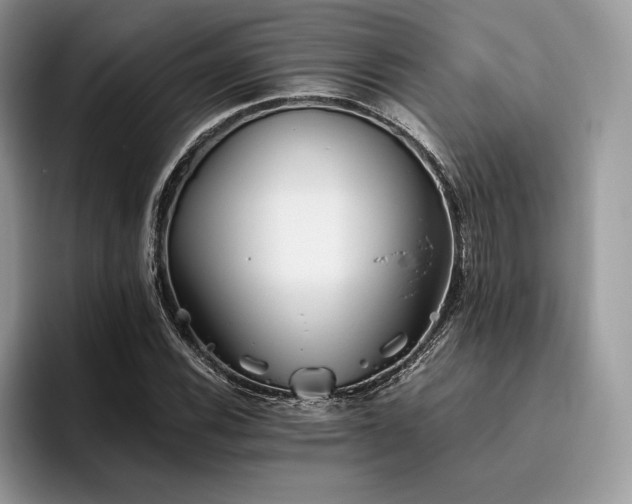 X0000096221116200801181445