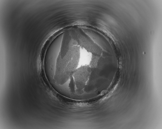 X0000096221117200801181445
