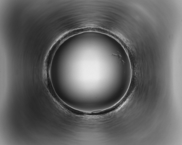 X0000096221118200801181445
