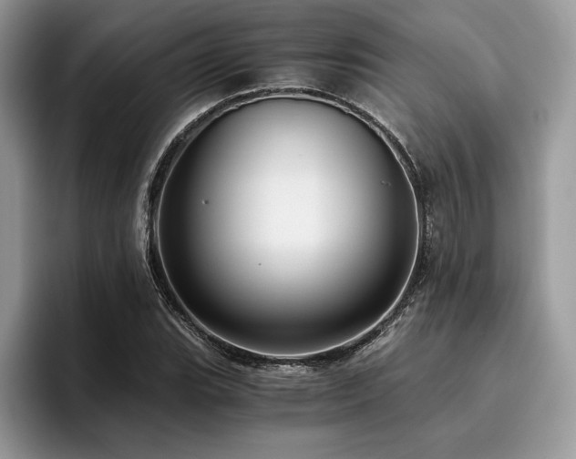 X0000096221119200801181445