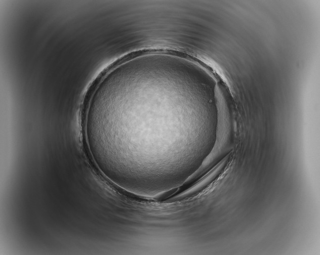 X0000096221120200801181445