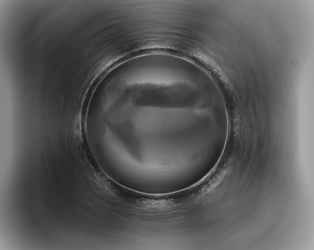 X0000096221121200801181445