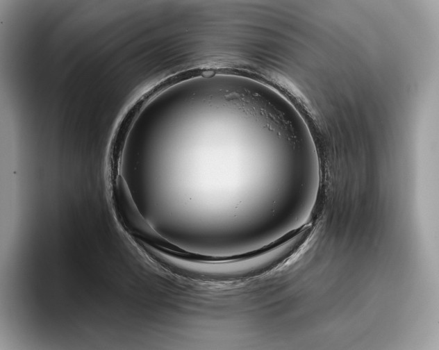 X0000096221122200801181445