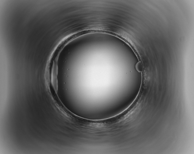 X0000096221123200801181445