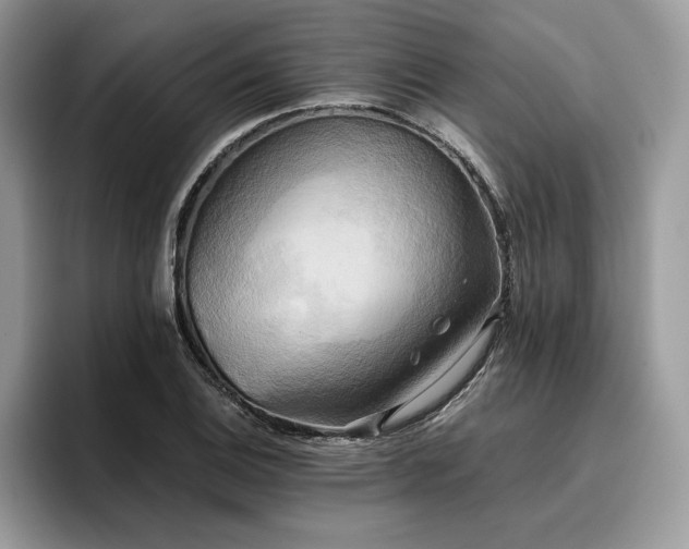 X0000096221124200801181445