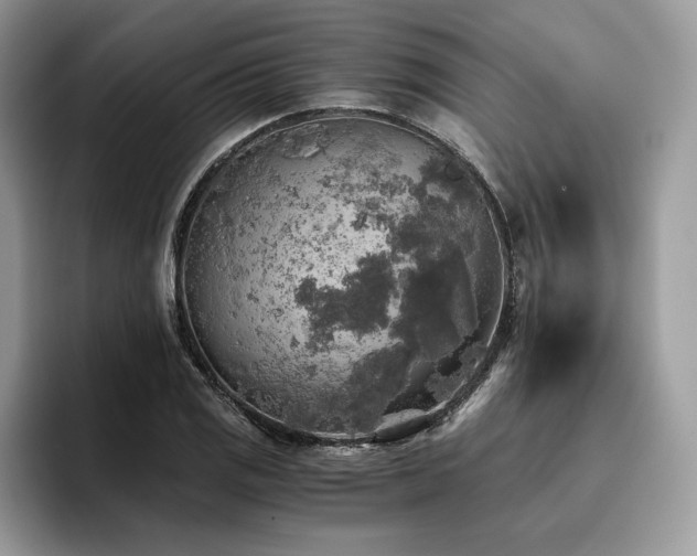 X0000096221125200801181445