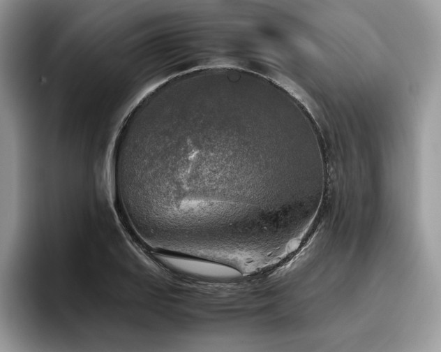 X0000096221127200801181445
