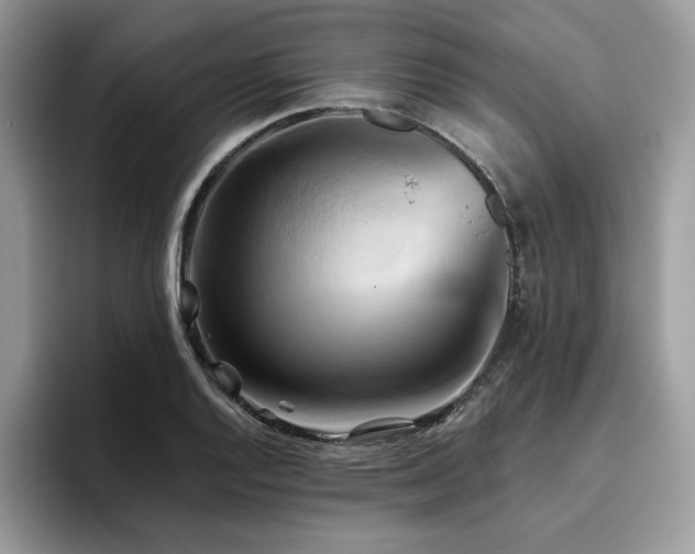 X0000096221128200801181445