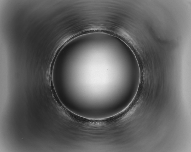 X0000096221129200801181445
