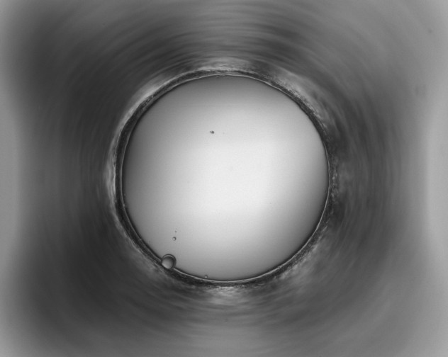 X0000096221130200801181445
