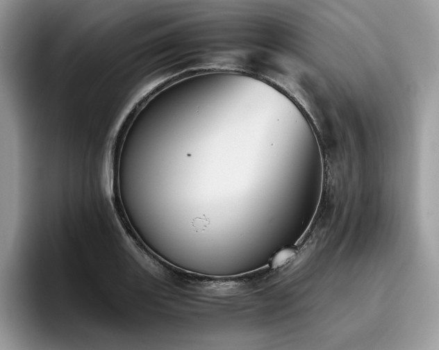X0000096221131200801181445