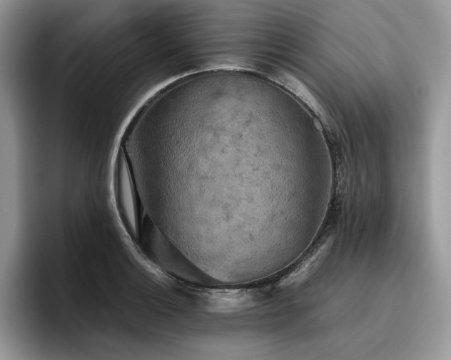 X0000096221132200801181445
