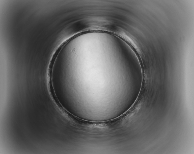 X0000096221133200801181445