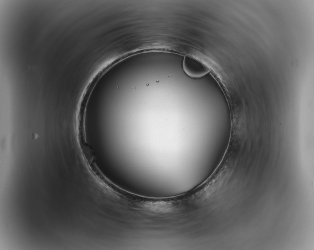 X0000096221135200801181445
