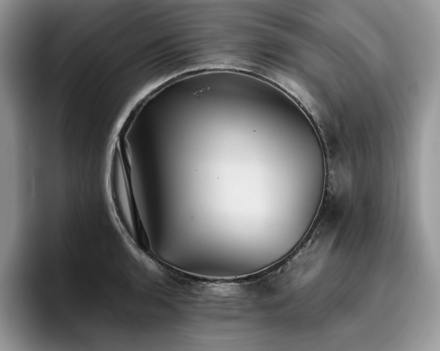 X0000096221136200801181445