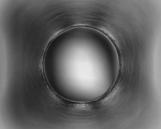X0000096221137200801181445