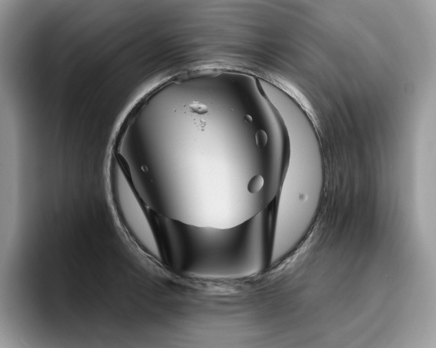 X0000096221138200801181445