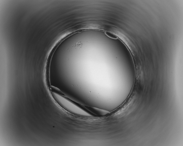 X0000096221139200801181445