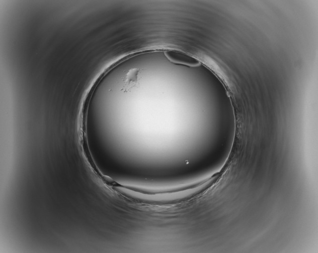 X0000096221140200801181445