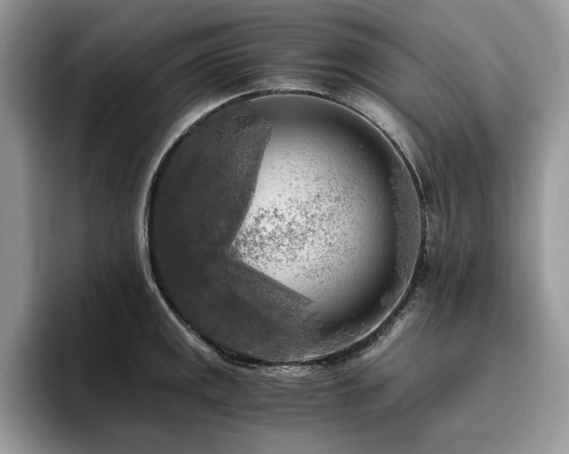 X0000096221141200801181445