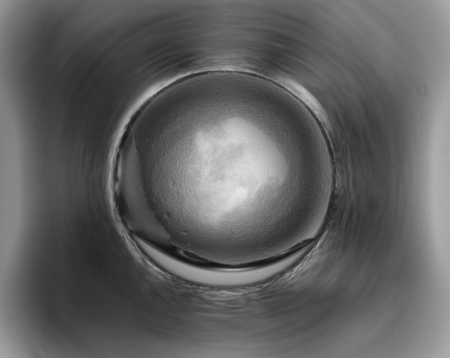 X0000096221144200801181445