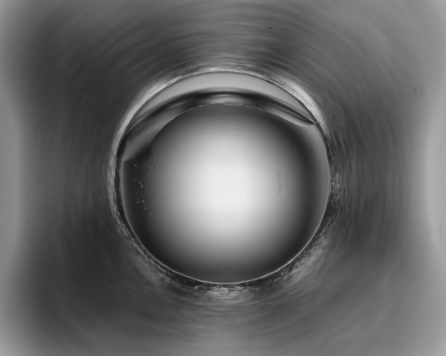 X0000096221146200801181445
