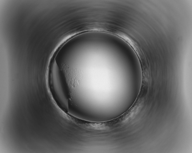 X0000096221147200801181445