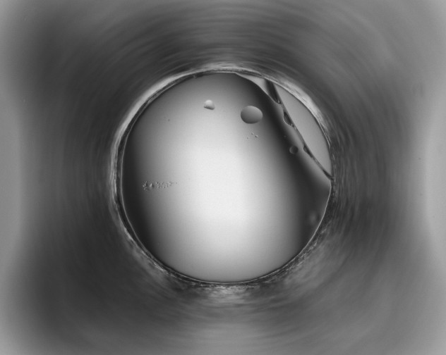 X0000096221148200801181445