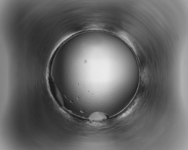X0000096221149200801181445