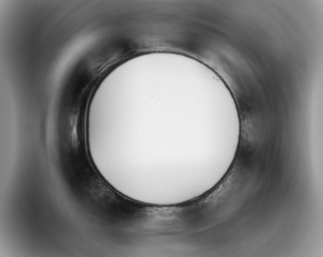 X0000096221150200801181445