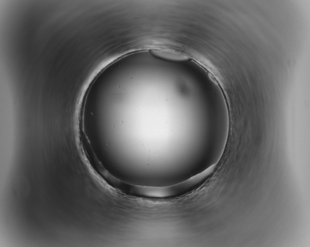X0000096221152200801181445