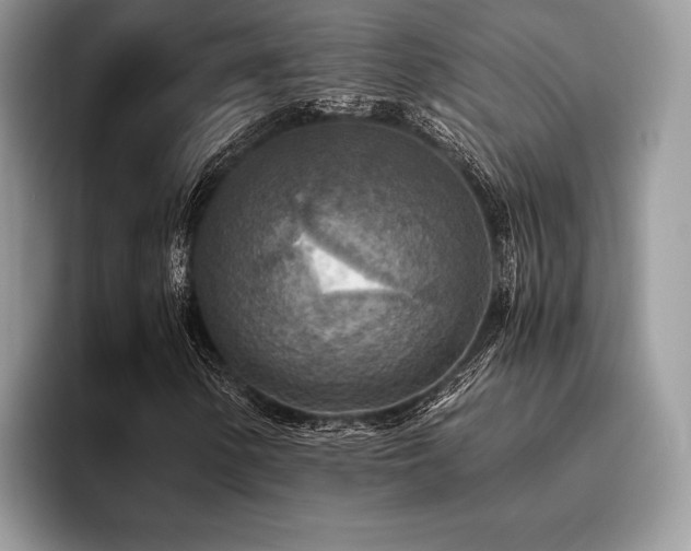 X0000096221154200801181445