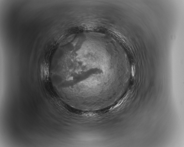 X0000096221155200801181445
