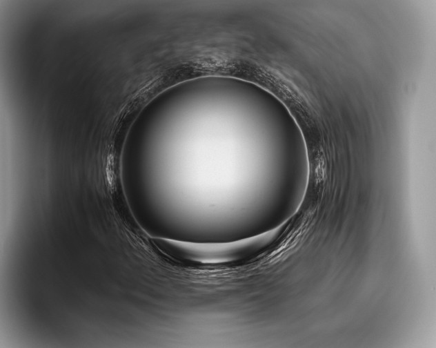 X0000096221156200801181445