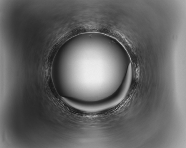 X0000096221157200801181445