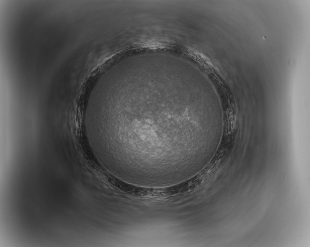 X0000096221158200801181445