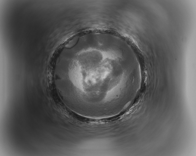 X0000096221159200801181444