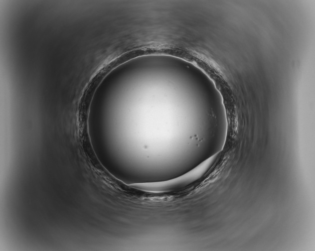 X0000096221160200801181444