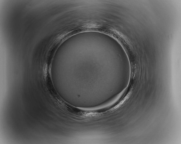 X0000096221161200801181444