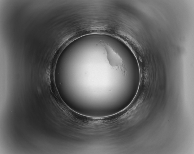 X0000096221162200801181444