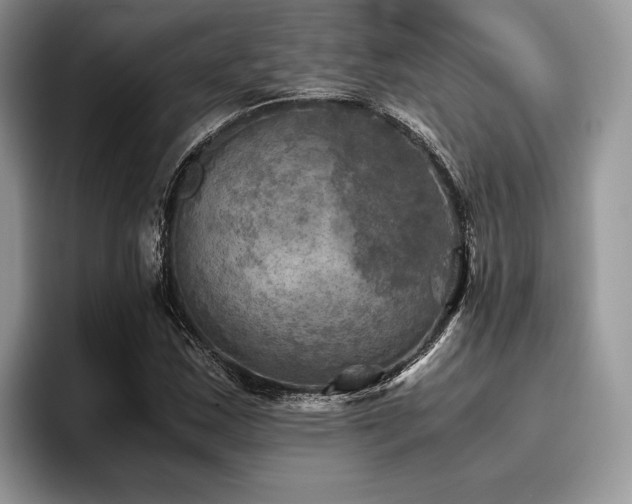 X0000096221163200801181444
