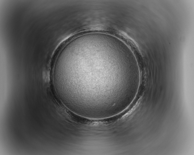 X0000096221166200801181444